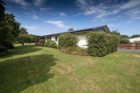 Photo of property in 37 Suffolk Street, Hampstead, Ashburton, 7700