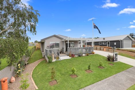 Photo of property in 31 Smith Street, Waihi, 3610