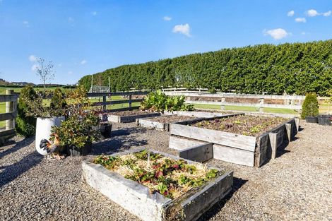 Photo of property in 1079c Oropi Road, Oropi, Tauranga, 3173