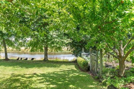 Photo of property in 7 Willow Grove, Tairua, 3508