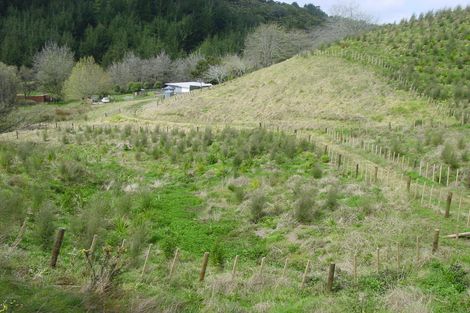 Photo of property in 521 Ahuroa Road, Puhoi, Warkworth, 0994