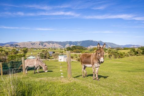 Photo of property in 21 Sandown Road, Te Horo Beach, Otaki, 5581