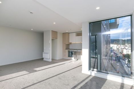 Photo of property in Vsp South, 502/168 Victoria Street, Te Aro, Wellington, 6011