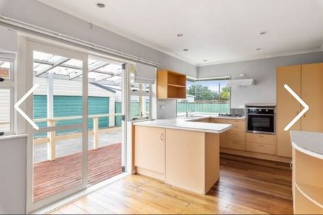 Photo of property in 55 Power Street, Levin, 5510