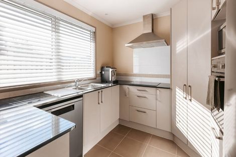 Photo of property in 20a Lincoln Terrace, Gate Pa, Tauranga, 3112