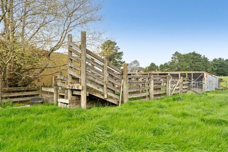 Photo of property in 47 Donalds Road, Upper Plain, Masterton, 5888