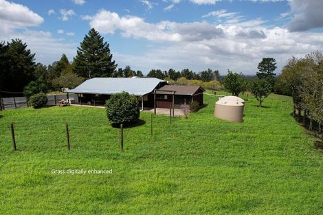 Photo of property in 331 Rea Road, Tahawai, Katikati, 3178