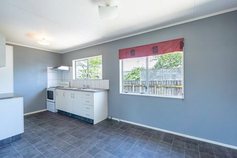 Photo of property in 115 Sherwill Street, Feilding, 4702