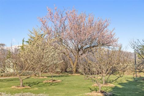 Photo of property in 1153 Wanaka-luggate Highway, Luggate, Wanaka, 9382