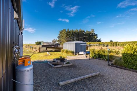 Photo of property in 8 Minnie Street, Waimate, 7980