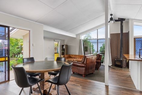 Photo of property in 19 Bryce Street, Mangapapa, Gisborne, 4010