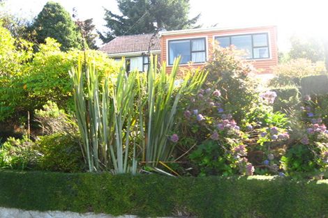 Photo of property in 47 Prospect Bank, Wakari, Dunedin, 9010