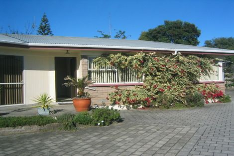 Photo of property in 64 Links Avenue, Mount Maunganui, 3116
