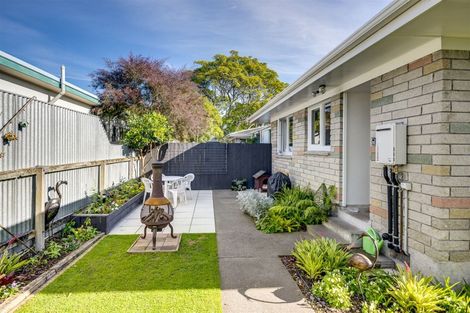 Photo of property in 4/29 Mcdonald Street, Napier South, Napier, 4110