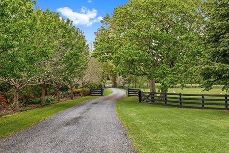 Photo of property in 84 Kaipara Flats Road, Dome Forest, Warkworth, 0981