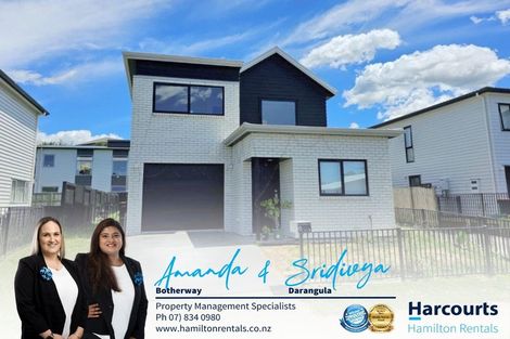 Photo of property in 43 Ridgedale Crescent, Flagstaff, Hamilton, 3210