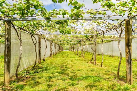 Photo of property in 988 Otaika Valley Road, Maungatapere, Whangarei, 0170