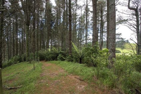 Photo of property in 325 Kaipi Road, Hillsborough, New Plymouth, 4372