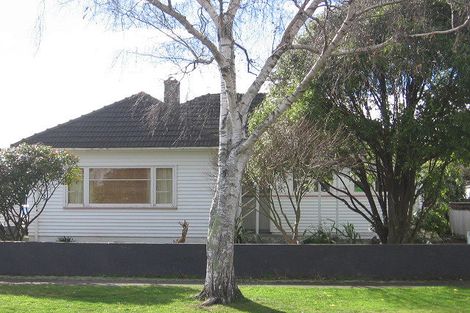 Photo of property in 17 Webb Street, Terrace End, Palmerston North, 4410
