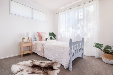 Photo of property in 16 Hayes Avenue, Gate Pa, Tauranga, 3112