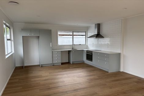 Photo of property in 30 Wairere Avenue, Mount Albert, Auckland, 1025