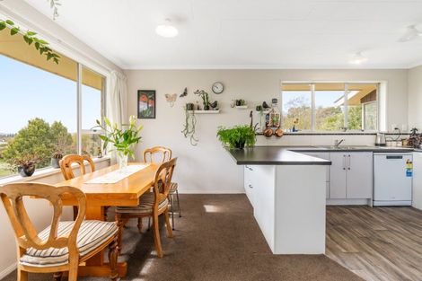 Photo of property in 22 Appleby Street, Hampden, 9410