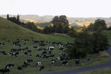 Photo of property in Whirinaki Valley Road, Ngakuru, Rotorua, 3077