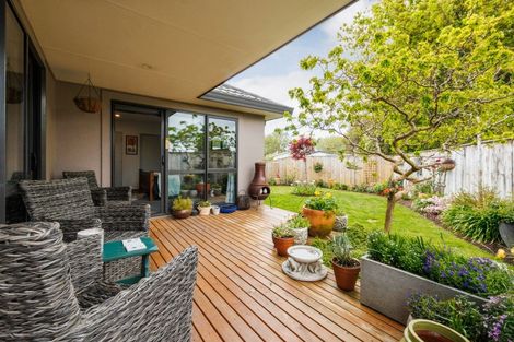 Photo of property in 18 Ursula Drive, Feilding, 4702