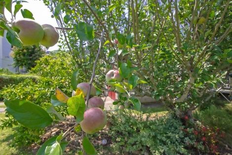 Photo of property in 13 Carlyle Street, Te Aroha, 3320