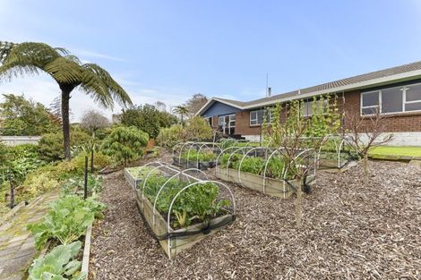 Photo of property in 36 Maire Street, Inglewood, 4330