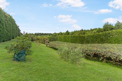 Photo of property in 237a Busby Road, Tahawai, Katikati, 3170