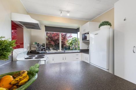 Photo of property in 81 Centennial Avenue, Arrowtown, 9302