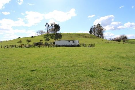 Photo of property in 17 Matarawa Road, Kinleith, Tokoroa, 3491