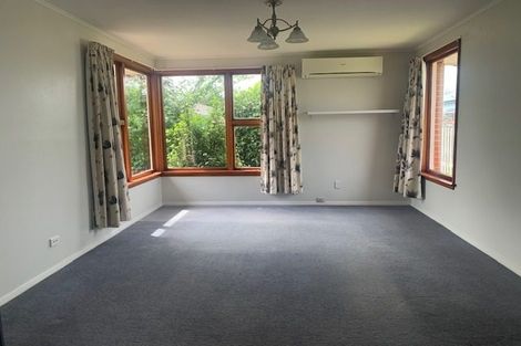 Photo of property in 30 Bird Street, Hampstead, Ashburton, 7700