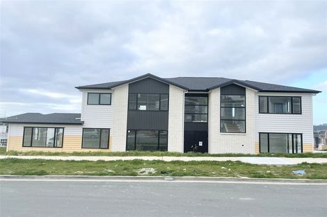 Photo of property in 15 Tiro Street, Flat Bush, Auckland, 2019