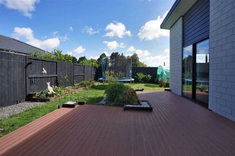 Photo of property in 48 Meachem Road, Chartwell, Hamilton, 3210