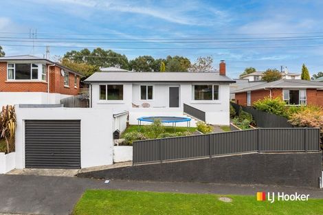 Photo of property in 25 Elwyn Crescent, Green Island, Dunedin, 9018