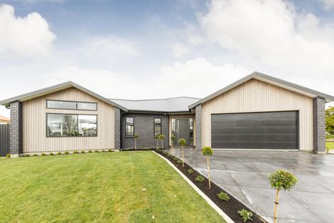 Photo of property in 27 Guy Avenue, Takaro, Palmerston North, 4410
