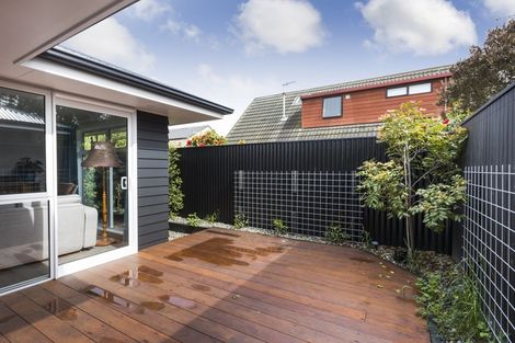 Photo of property in 17c Alfred Street, Roslyn, Palmerston North, 4414