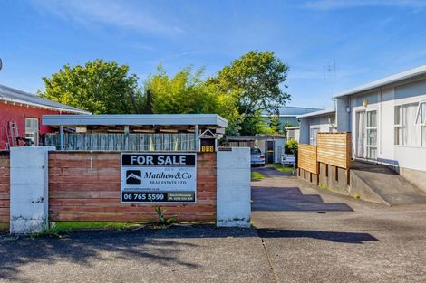 Photo of property in 113 Lemon Street, New Plymouth, 4312