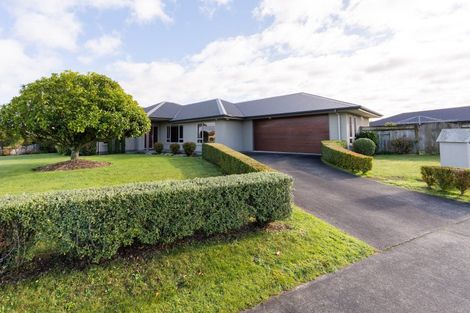 Photo of property in 21 Pukawa Place, Feilding, 4702