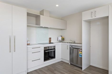 Photo of property in 17 Bishop Street, Kaiapoi, 7630