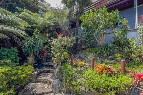 Photo of property in 530 Thames Coast Sh25 Road, Te Puru, Thames, 3575