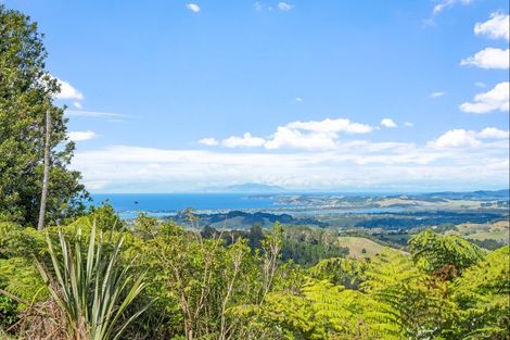 Photo of property in 776 Matakana Valley Road, Whangaripo, Warkworth, 0985