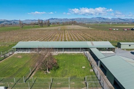 Photo of property in 519 Old Renwick Road, Springlands, Blenheim, 7272