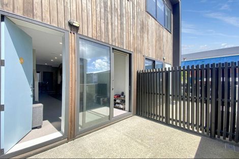 Photo of property in Aniva Terrace, 14 Arney Street, Newtown, Wellington, 6021