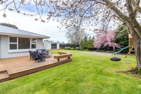 Photo of property in 193 Rutland Street, St Albans, Christchurch, 8052