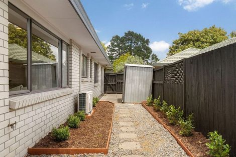 Photo of property in 14 Stableford Drive, Pyes Pa, Tauranga, 3112