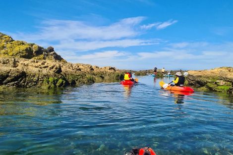 Photo of property in 9/20 Trent Street, Island Bay, Wellington, 6023