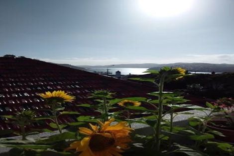 Photo of property in 5a Mcgeorge Avenue, Mornington, Dunedin, 9011